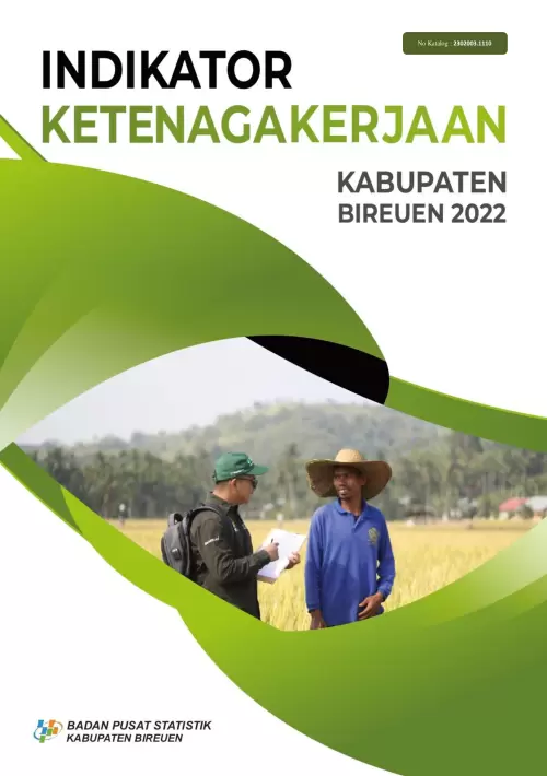 Indikator Ketenagakerjaan Kabupaten Bireuen 2022
